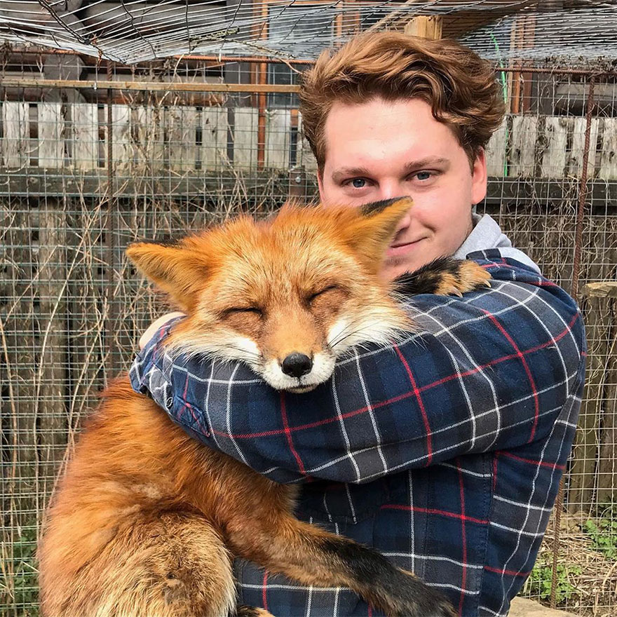 Fox From Fur Farm