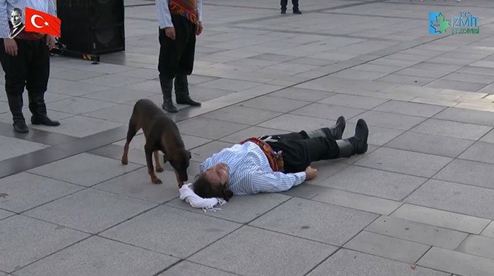 Dog Interrupts Performance To Comfort Actor