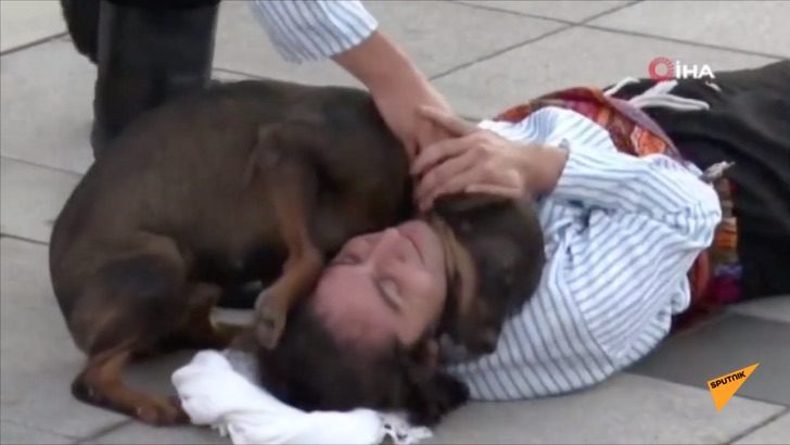 Dog Interrupts Performance To Comfort Actor