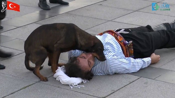 Dog Interrupts Performance To Comfort Actor